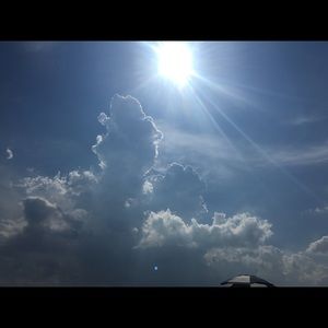 Meet your Posher, Lynne